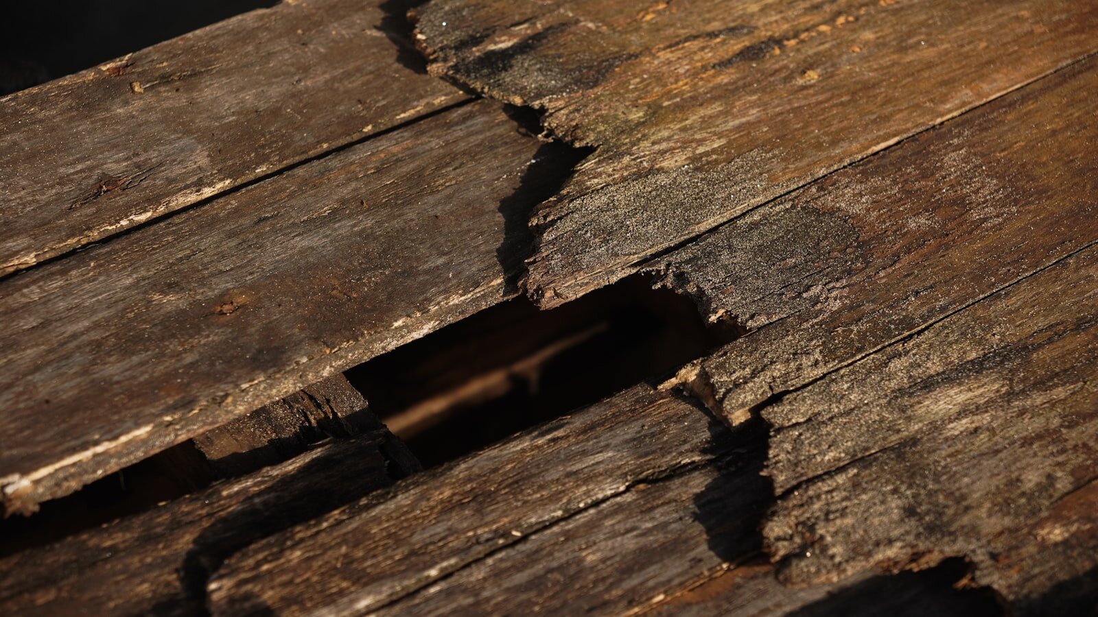 Close-up of wood rot and structural damage from water exposure